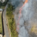 Salvador lidera registros de incêndios em áreas de mata na Bahia e acumula 340 ocorrências em quatro anos