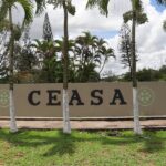 Proclamação da República: Mercados estaduais terão fechamento antecipado e a Ceasa opera normalmente no feriado