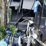 Acidente entre ônibus e pick-up deixa empresário morto e três feridos no Sul da Bahia