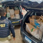 Ação apreende mais de 330 kg de drogas escondidas em caminhão que passava por Feira de Santana